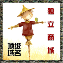 獨(dú)立商城網(wǎng)站設(shè)計(jì)的五個(gè)黃金原則