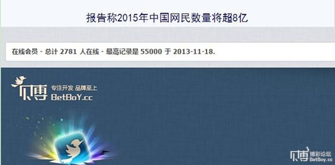 報告稱2015年中國網(wǎng)民數(shù)量將超8億