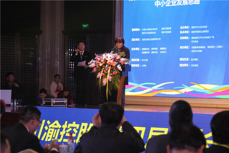 西安市工商聯(lián)主席王歡暢致辭